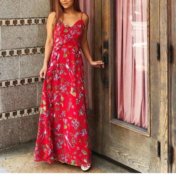 Nanette Lepore Sleeveless Maxi Dress Sz 6 Red Chiffon Floral Hummingbird Print - Picture 2 of 15